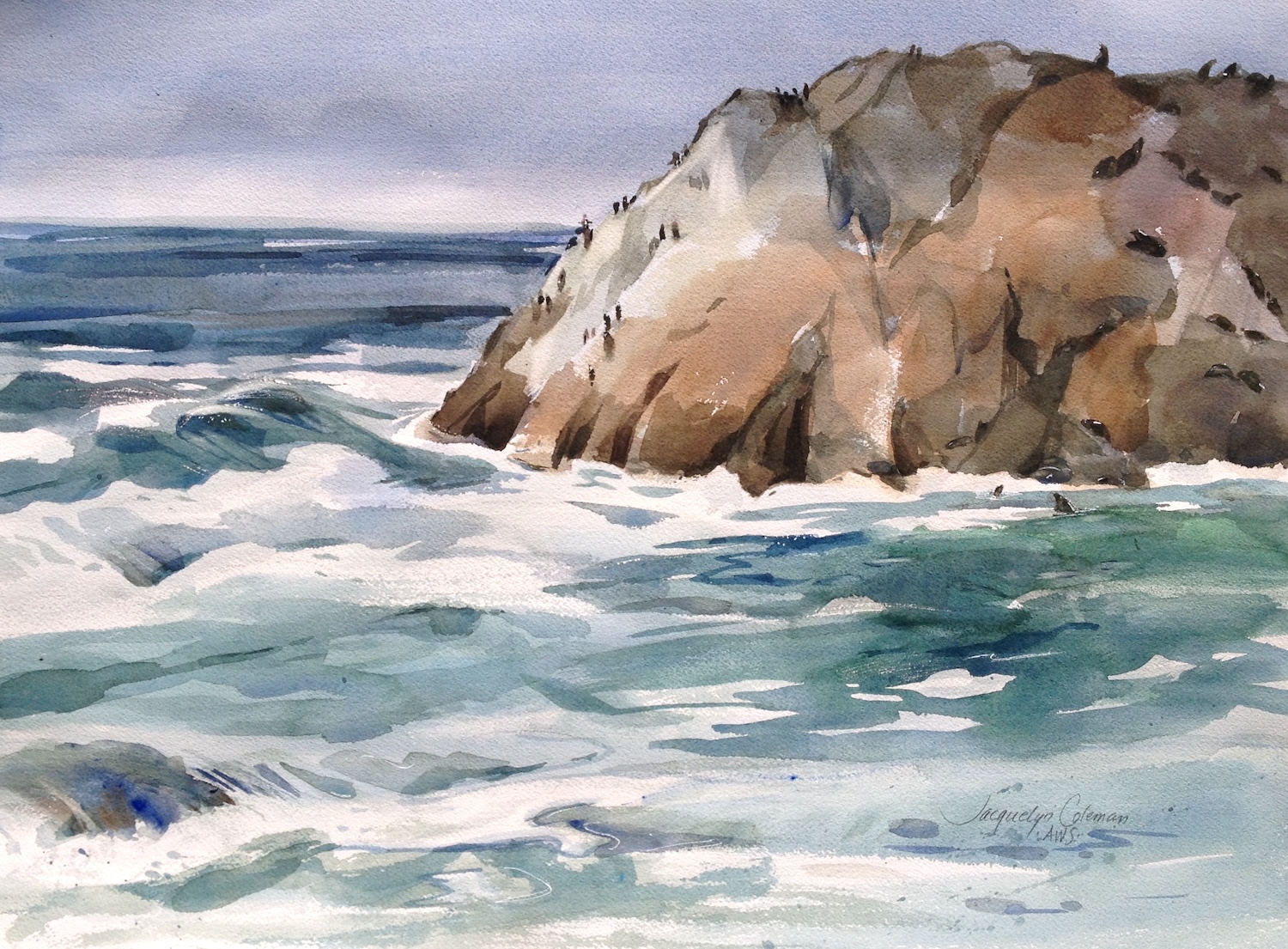 Cormorants and Seals