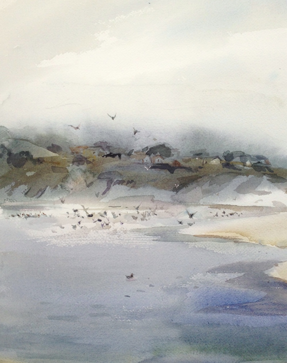 Pelicans at River Beach