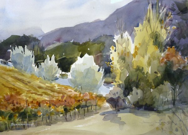 Vineyard at Bernardus 